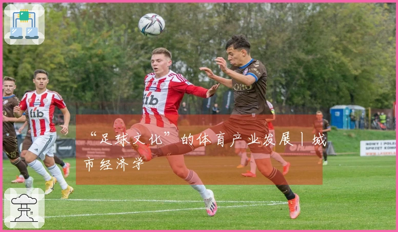 “足球文化”的体育产业发展丨城市经济学