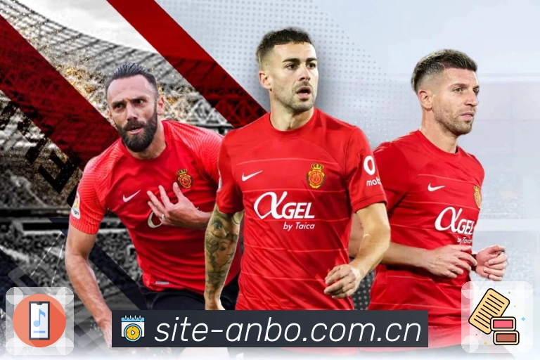 稳定可用认证展示